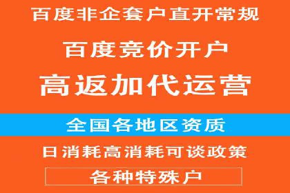 百度SEO推广公司案例汇编：实战优化策略全解析